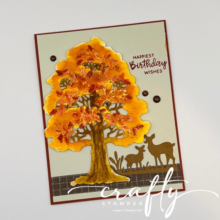 Amber Autumn – Birthday