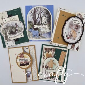 Silly Old Bear Crafty Card Kit